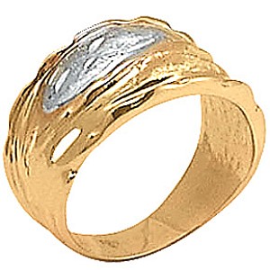 D00527