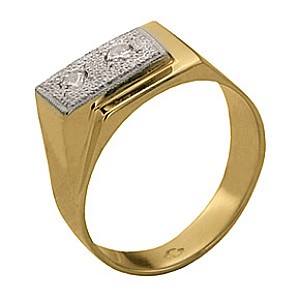 .RM0301